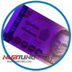 wzuv_UV